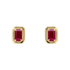 Gold earrings with red gemstones on a white background