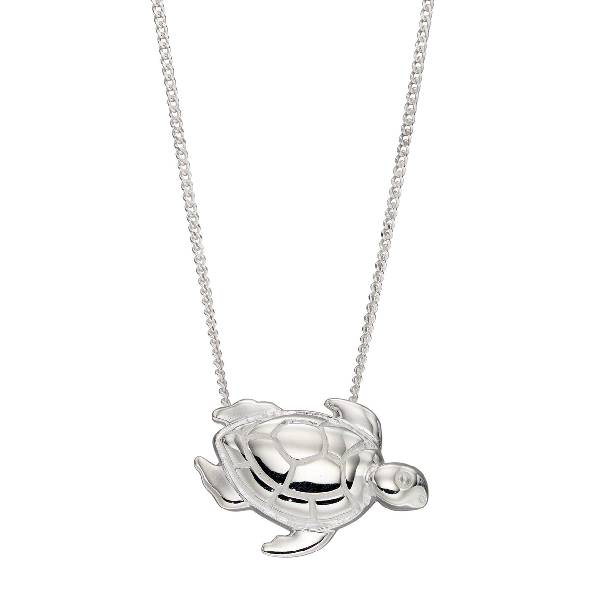 Silver turtle pendant on a chain against a white background